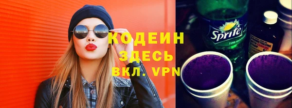 прущий лед Богданович