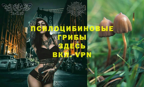 не бодяженный Богородск