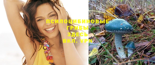 не бодяженный Богородск