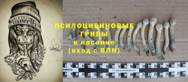 прущий лед Богданович