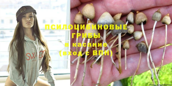прущий лед Богданович