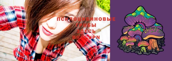 не бодяженный Богородск