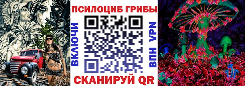 Галлюциногенные грибы GOLDEN TEACHER  Купить где  Курлово 